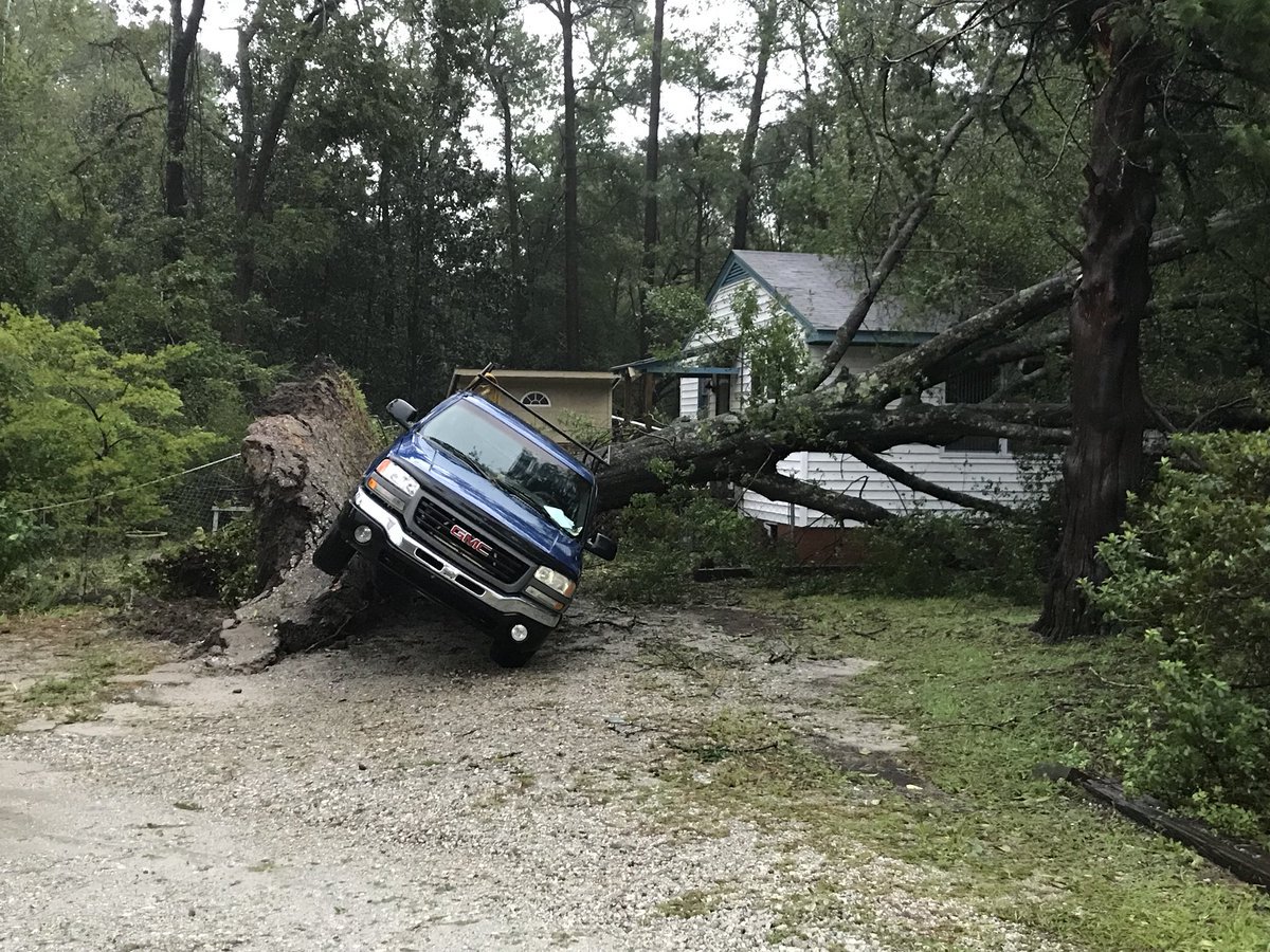 Hurricane Florence knocks trees onto vehicles in Wilmington, NC   