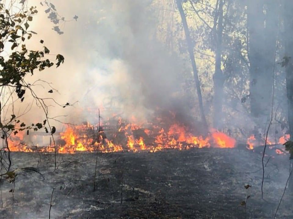 Jacksonville Fire & Emergency Services, Camp Lejeune Fire &amp; Emergency Services, Southwest Volunteer Fire Department, Onslow County EMS and NC Forestry Service are on the scene of a brush fire