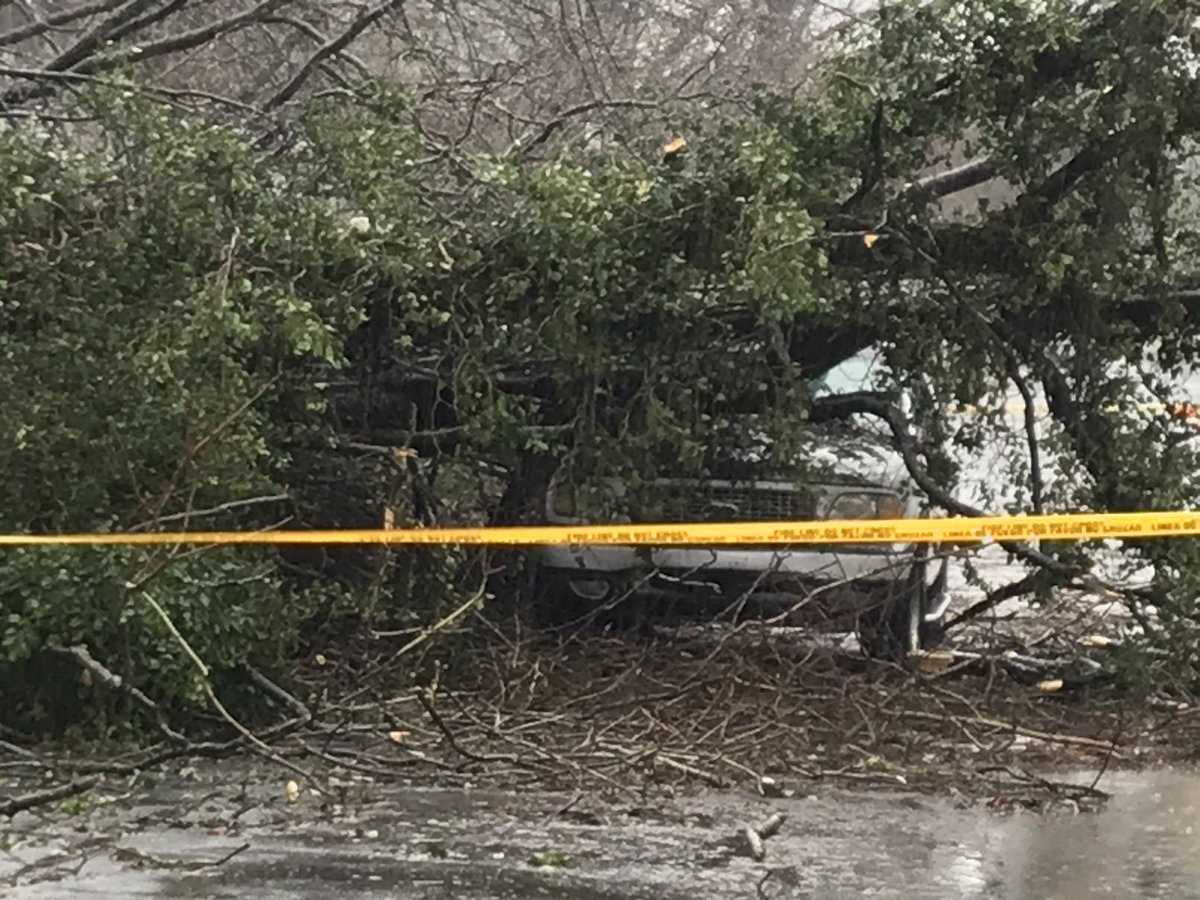 Heavy damage off Belmont Ave, as a passing car and home are destroyed by a falling tree around Noon. No injuries. Neighbors say they have never seen a Storm like that before. 