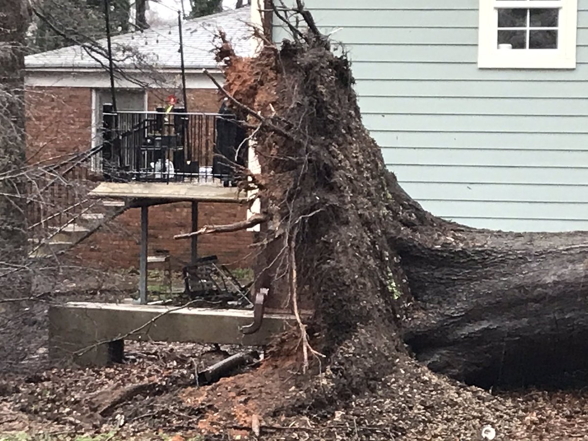 Heavy damage off Belmont Ave, as a passing car and home are destroyed by a falling tree around Noon. No injuries. Neighbors say they have never seen a Storm like that before. 