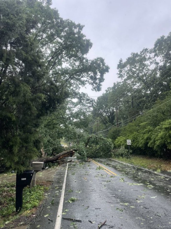 Trees and power lines down off Rocky River Road in Harrisburg after tornado warned storm moved through. @NWSGSP will head out tomorrow to survey damage.