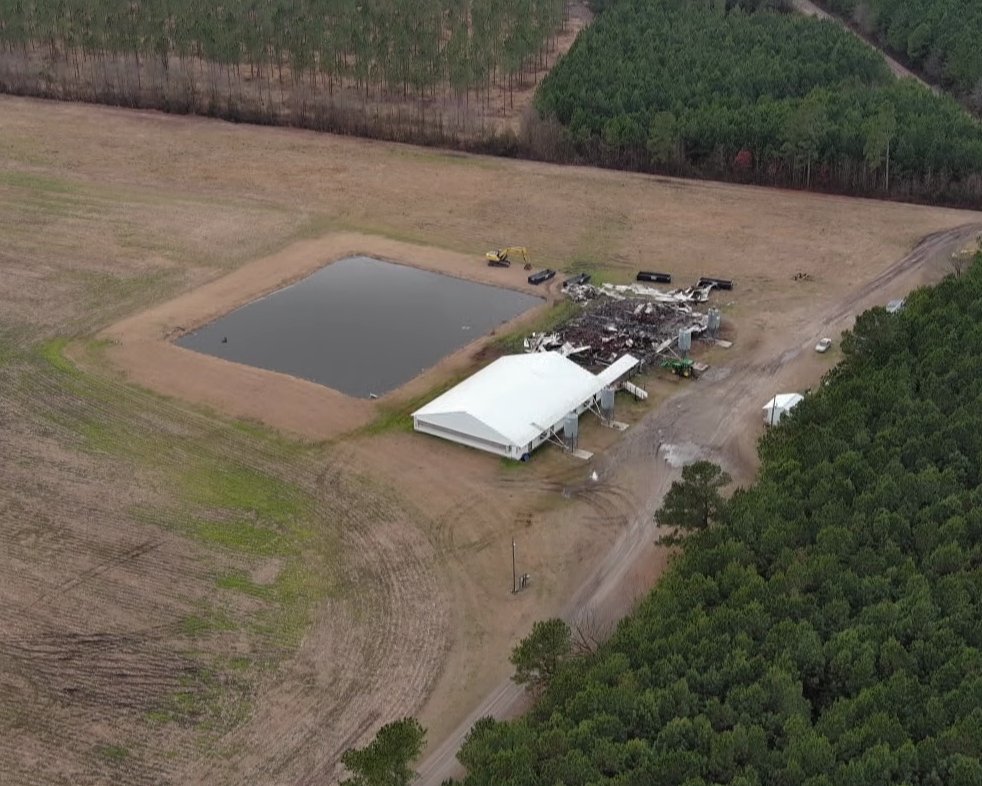 More than 1,300 hogs died after a fire broke out at a farm in North Carolina this past weekend