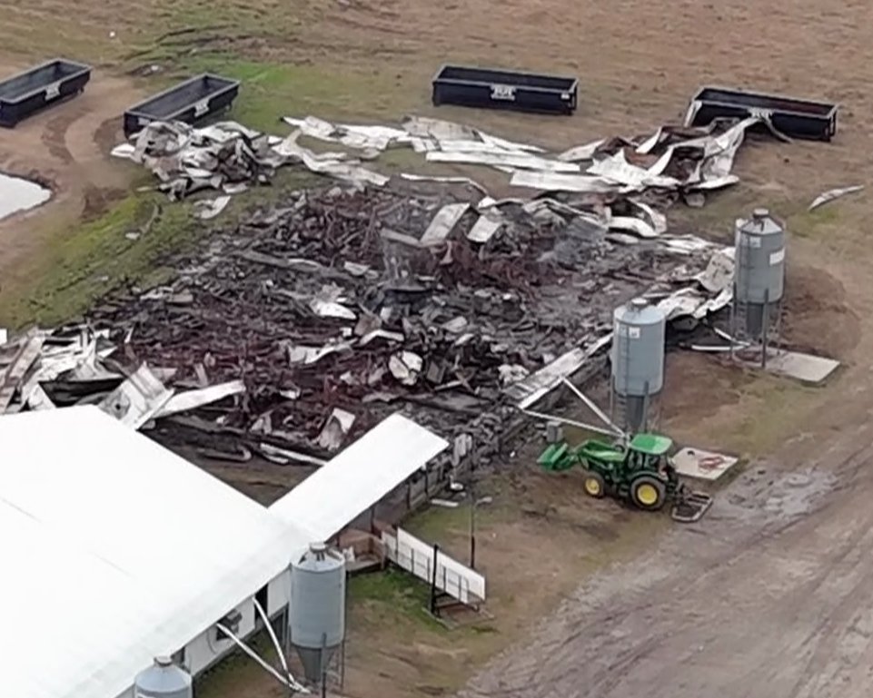 More than 1,300 hogs died after a fire broke out at a farm in North Carolina this past weekend