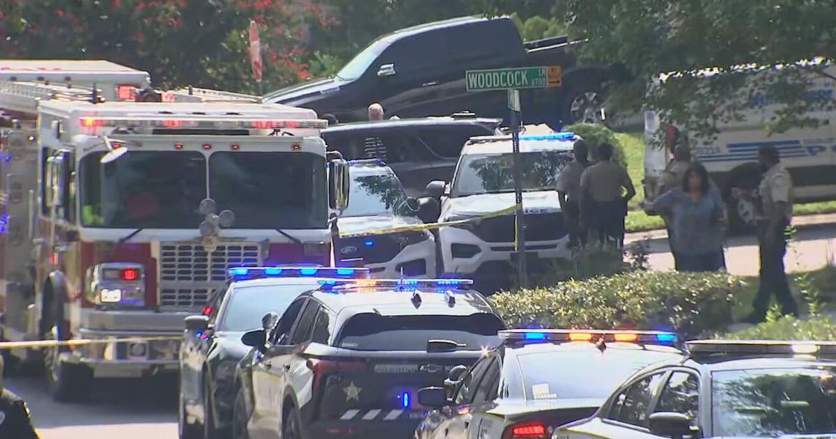 A man and woman who police said owned the dogs that attacked multiple people in northwest Charlotte are under arrest